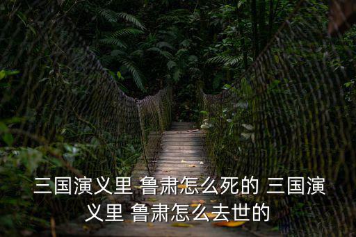  三國演義里 魯肅怎么死的 三國演義里 魯肅怎么去世的