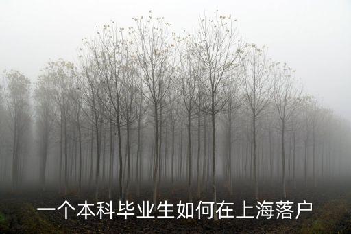 上海人才引進落戶條件 大專，一個本科畢業生如何在上海落戶
