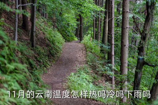 11月的云南溫度怎樣熱嗎冷嗎下雨嗎