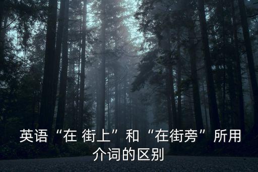  英語“在 街上”和“在街旁”所用介詞的區(qū)別