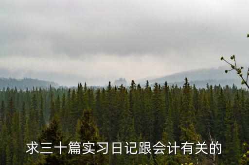 求三十篇實習日記跟會計有關的