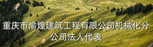 重慶市董婧，重慶市渝煌建筑工程有限公司機械化分公司法人代表