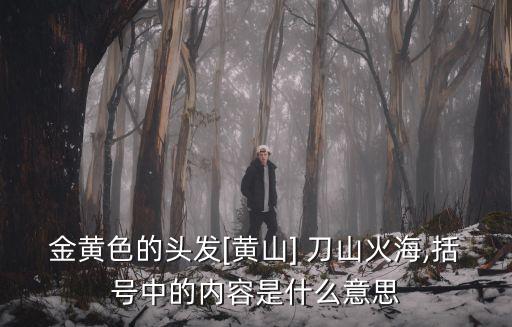 刀山火海的意思,九局作曲:刀山火海我替你沖我一個人攔你