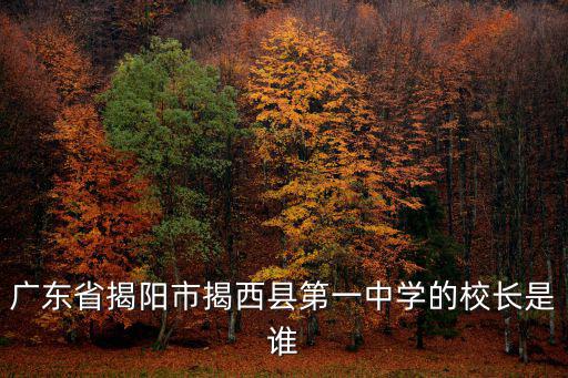 廣東省揭陽市揭西縣第一中學的校長是誰