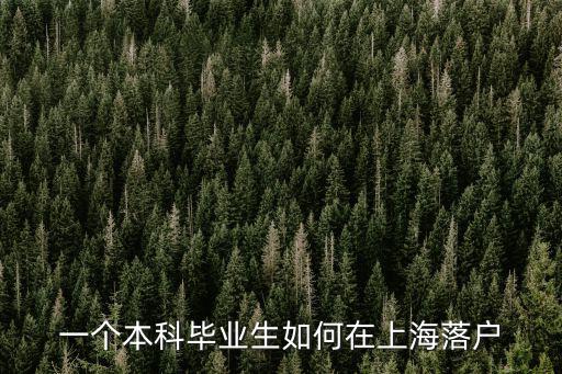 一個(gè)本科畢業(yè)生如何在上海落戶