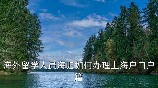 海外留學(xué)人員海歸如何辦理上海戶口戶籍