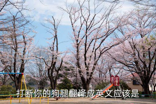 打斷你的狗腿翻譯成英文應該是