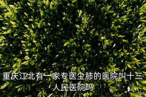 重慶江北有一家專醫(yī)塵肺的醫(yī)院叫十三人民醫(yī)院嗎