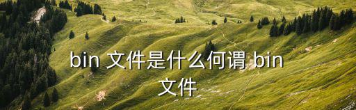  bin 文件是什么何謂 bin 文件