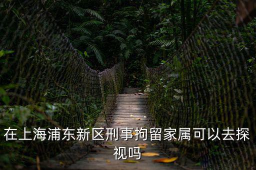 在上海浦東新區(qū)刑事拘留家屬可以去探視嗎