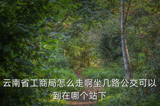 云南省工商局怎么走啊坐幾路公交可以到在哪個站下