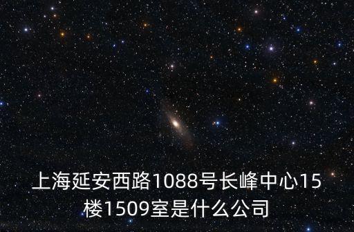 上海延安西路1088號長峰中心15樓1509室是什么公司