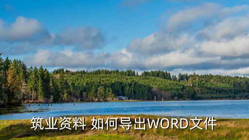 筑業資料 如何導出WORD文件