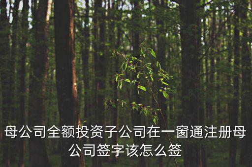一窗通簽名，求求求一簽名