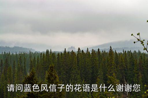 請問藍色風信子的花語是什么謝謝您
