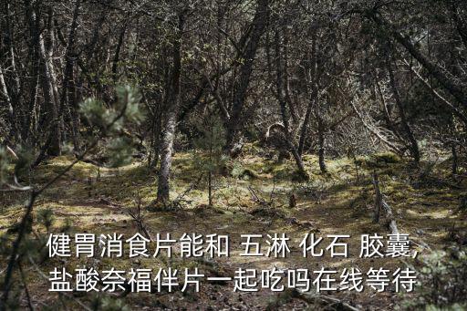 五淋化石膠囊,堅持服用一個月你會知道什么是堅持!