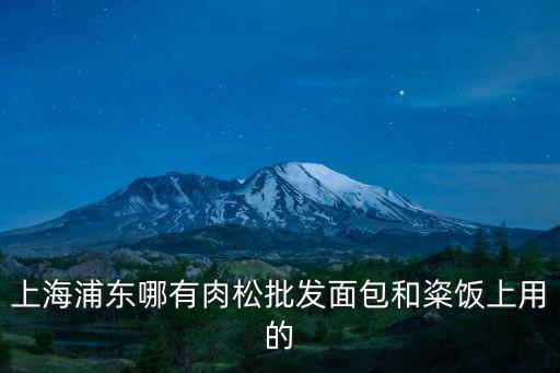 上海浦東哪有肉松批發面包和粢飯上用的
