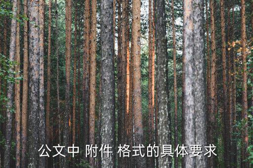  公文中 附件 格式的具體要求