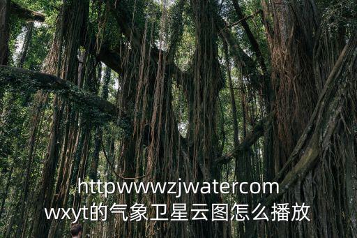 httpwwwzjwatercomwxyt的氣象衛(wèi)星云圖怎么播放