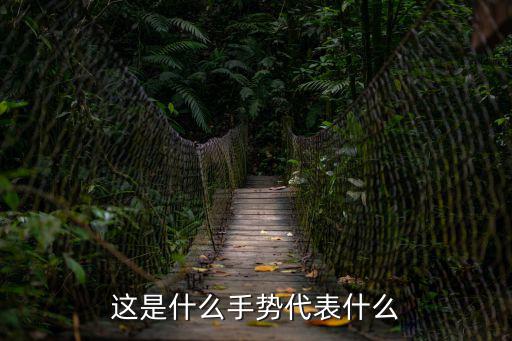 這是什么手勢代表什么