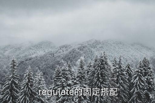  regulate的固定搭配