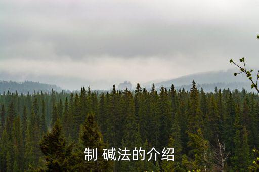 堿法,最早是侯先生發現的，所以叫做侯氏堿法