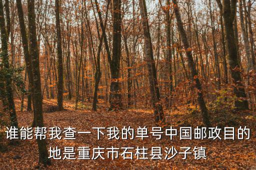 誰能幫我查一下我的單號中國郵政目的地是重慶市石柱縣沙子鎮