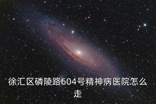 上海市徐匯區(qū)精神醫(yī)院，上海精神衛(wèi)生中心在哪