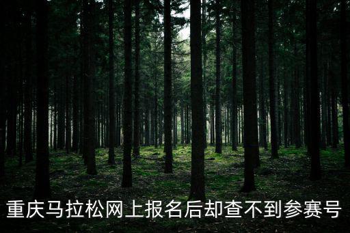 重慶馬拉松網上報名后卻查不到參賽號