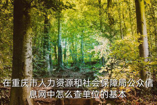 在重慶市人力資源和社會保障局公眾信息網中怎么查單位的基本