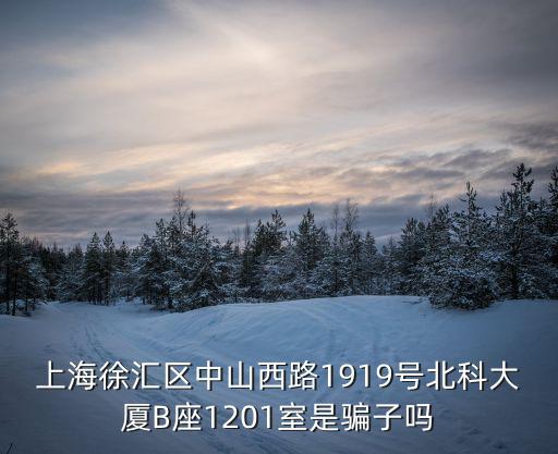 上海市徐匯區(qū)供電公司王利，上海徐匯區(qū)中山西路1919號北科大廈B座1201室是騙子嗎