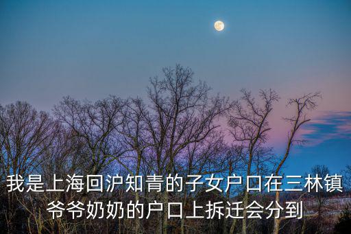 我是上海回滬知青的子女戶口在三林鎮爺爺奶奶的戶口上拆遷會分到