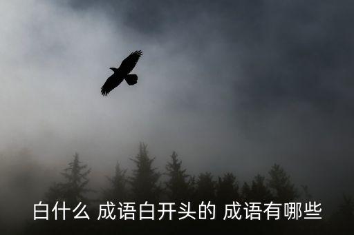 白的成語,第二集:白色的玉有多美?