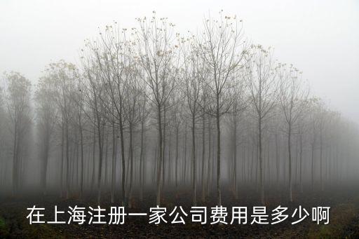 在上海注冊一家公司費用是多少啊