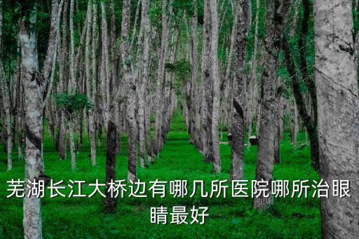 蕪湖長(zhǎng)江大橋邊有哪幾所醫(yī)院哪所治眼睛最好