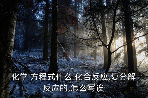 化學 方程式什么 化合反應,復分解反應的,怎么寫誒