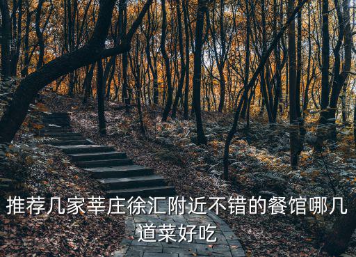 推薦幾家莘莊徐匯附近不錯(cuò)的餐館哪幾道菜好吃