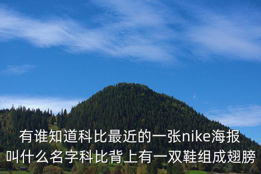 有誰知道科比最近的一張nike海報叫什么名字科比背上有一雙鞋組成翅膀