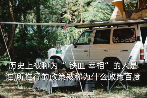 鐵血宰相,德國首相俾斯麥是鐵與血的結合
