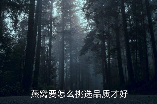  燕窩要怎么挑選品質才好