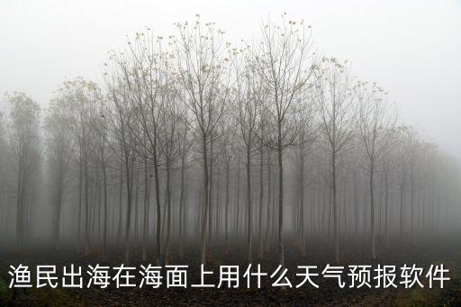 漁民出海在海面上用什么天氣預報軟件
