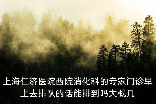 上海仁濟醫院西院消化科的專家門診早上去排隊的話能排到嗎大概幾