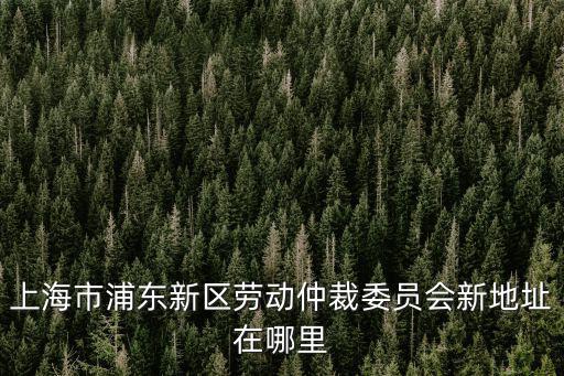 上海市浦東新區勞動仲裁委員會新地址在哪里