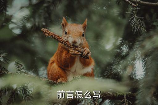 前言怎么寫