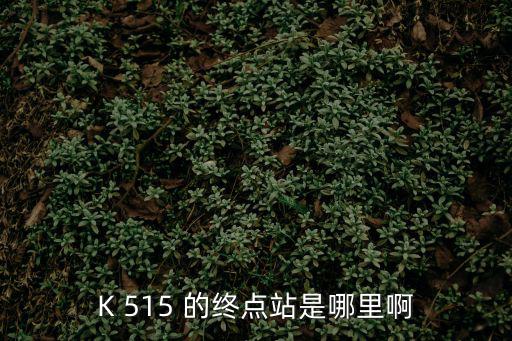 K 515 的終點(diǎn)站是哪里啊