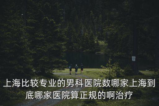 上海比較專業的男科醫院數哪家上海到底哪家醫院算正規的啊治療