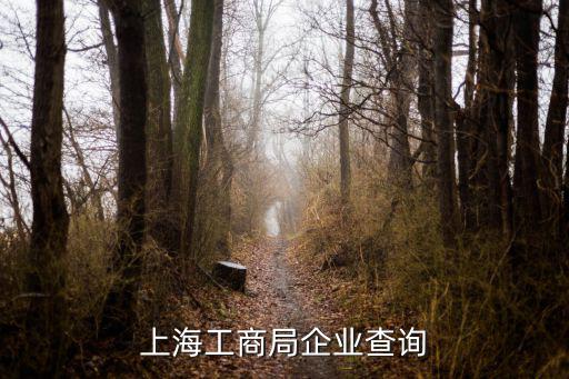 上海工商局企業查詢