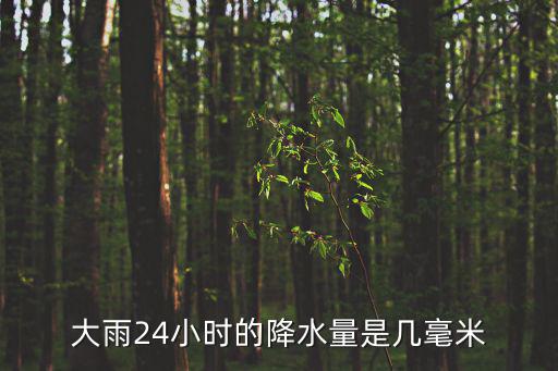 大雨24小時(shí)的降水量是幾毫米