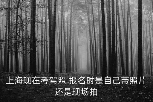 上?，F在考駕照 報名時是自己帶照片還是現場拍