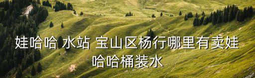 娃哈哈 水站 寶山區楊行哪里有賣娃哈哈桶裝水